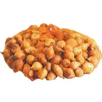 севок Ш-Ризен 1кг крупный (Голландия)