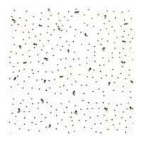 Астра плита потол