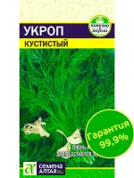 Укроп Кустистый 2гр. БП (Сем.Алтая)1