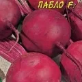 Свекла Пабло F1 0,5г (Цв.Сад)