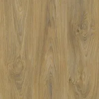500x500