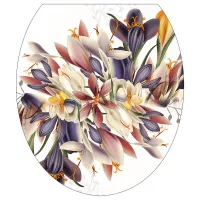 2bohruq977hq0eovjm08492g8z4xzeoq