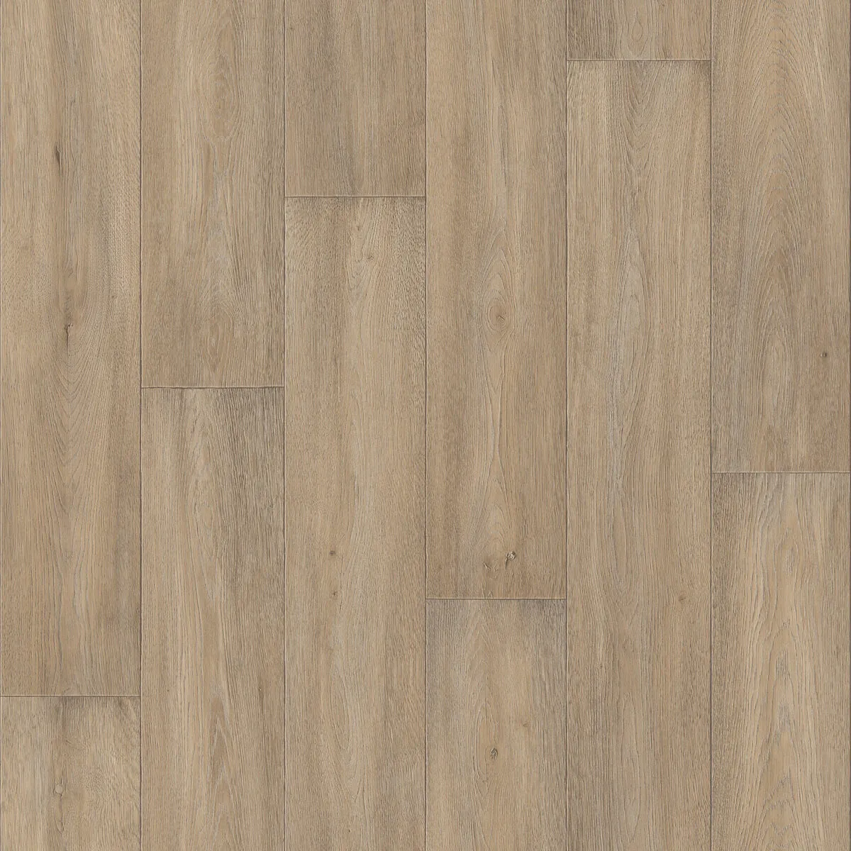 Линолеум HOMETOWN_DOLIS_3