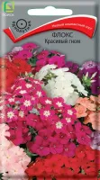 Цветы Флокс Красивый гном 0,2гр (Поиск)