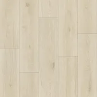 TH_FORCE_Maison_1