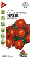 Цветы Бархатцы Мерседес отклоненные 0,3г Уд.с. (Гавриш)