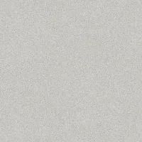 23849