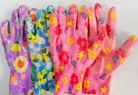 18fb3942103a11f081b2ac1f6be6d55b_071b5bb4112611f081b2ac1f6be6d55b