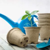 Горшки торфяные круглые