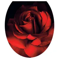 8fe43wz6jnmcxttfx396b0wqa134ofe8