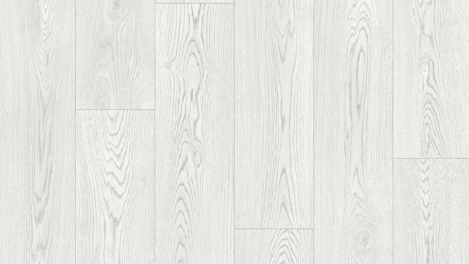 THH_Club_EVORA_COLL.1