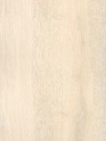 8869d26db32eb19dc2a3ef83fcecebf9