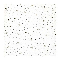 Астра плита потол