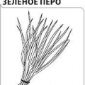 Лук Батун Зеленое перо на зелень 0,5г БП (Гавриш)