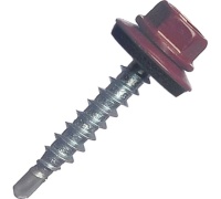 55052434