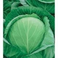 Капуста Белокачанная Колобок F1 10шт (Гавриш)