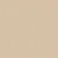 TH_ACCZENT_PRO_aspect_5 TH_ACCZENT_PRO_aspect_5