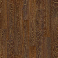 TH_BONUS_BOLTON_2 TH_BONUS_BOLTON_2