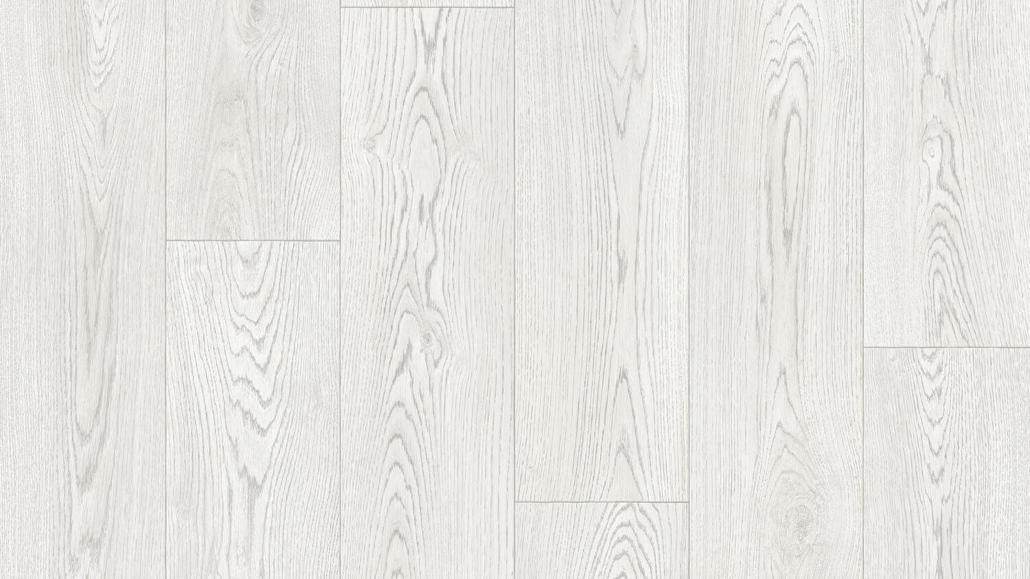 THH_Club_EVORA_COLL.1