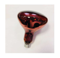 1886d2cea7a72fa700a9e7f02fa143ba