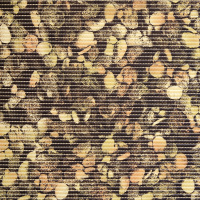 z53c46cpkuudacb3zhpv1xq47s0qdaul