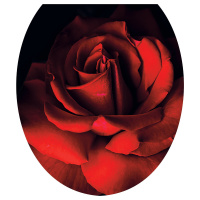 8fe43wz6jnmcxttfx396b0wqa134ofe8