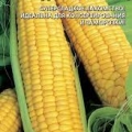 Кукуруза Медовая сказка сахарная (УД) 5г