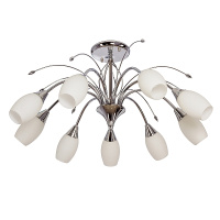 thumb600_06279700-1739262330